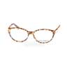 DG3173 2746  () Dolce&Gabbana