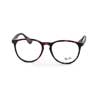 RB7046 5365  () Ray-Ban