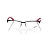 RB8411 2509 glasses (frame) Ray-Ban