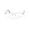 821025 20 glasses (frame) Eschenbach