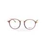 RB2447V 8033 C  () Ray-Ban