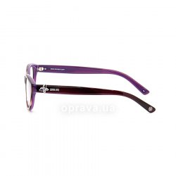 AS522 798 glasses (frame) Anna Sui 12
