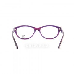 AS522 798 glasses (frame) Anna Sui 24