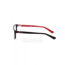 PH2104 5245 glasses (frame) Polo Ralph Lauren 12