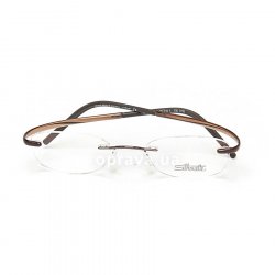 7781 6054 glasses (frame) Silhouette 48