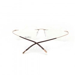7581 6050 glasses (frame) Silhouette 24