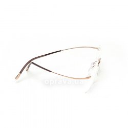 7581 6050 glasses (frame) Silhouette 36