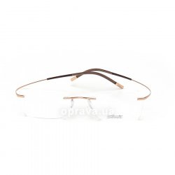7581 6050 glasses (frame) Silhouette 48