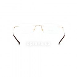 RB8679 1129 glasses (frame) Ray-Ban 24