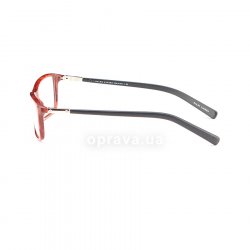 PH2101 5399 glasses (frame) Polo Ralph Lauren 12