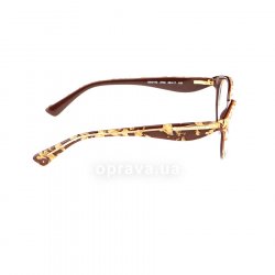 DG3173 2746  () Dolce&Gabbana 36