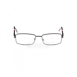 PH1114 9038 glasses (frame) Polo Ralph Lauren 48