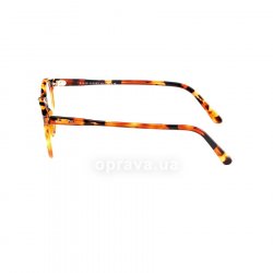 PH2083 5031  () Polo Ralph Lauren 12