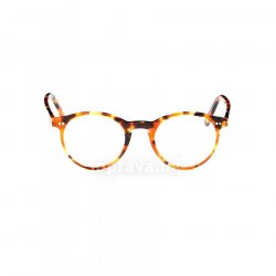 PH2083 5031  () Polo Ralph Lauren 48