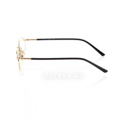 PH1121 9004 glasses (frame) Polo Ralph Lauren 12