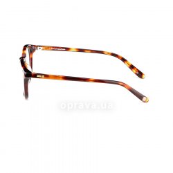 AS516 172 glasses (frame) Anna Sui 12