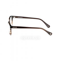 AS528 199 glasses (frame) Anna Sui 12
