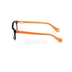 GG5007 C 0UO  () Gucci 12