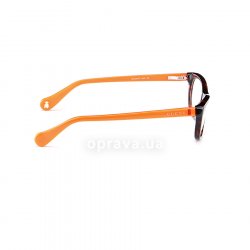 GG5007 C 0UO  () Gucci 36