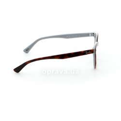 RB5311 5238 glasses (frame) Ray-Ban 36