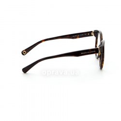 DG3128 502  () Dolce&Gabbana 36