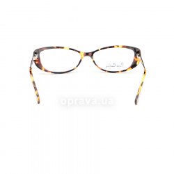 PC8386 CKC glasses (frame) Pierre Cardin 24