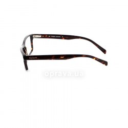 HEK1079 11  () Hackett 12