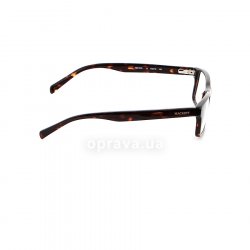 HEK1079 11  () Hackett 36