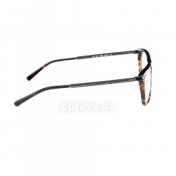 PH2111 5003 glasses (frame) Polo Ralph Lauren 36