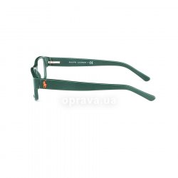 PH2102 5421 glasses (frame) Polo Ralph Lauren 12