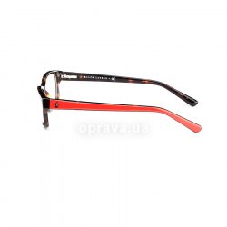 PH2091 5374 glasses (frame) Polo Ralph Lauren 12