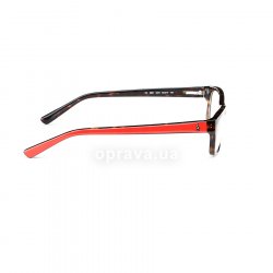 PH2091 5374 glasses (frame) Polo Ralph Lauren 36