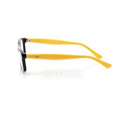 PH2094 5385 glasses (frame) Polo Ralph Lauren 12