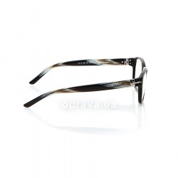 OX461 XPC glasses (frame) Oxydo 36
