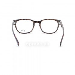 RB5309 5219 glasses (frame) Ray-Ban 24