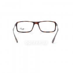 RB8902 5479 glasses (frame) Ray-Ban 24