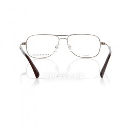 B4101 B  () Baldessarini 24