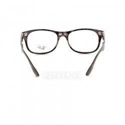 RB4223V 2012 glasses (frame) Ray-Ban 24