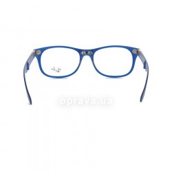 RB4223V 5520 glasses (frame) Ray-Ban 24