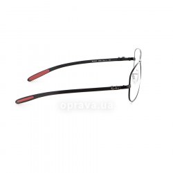 RB8403 2509 glasses (frame) Ray-Ban 36