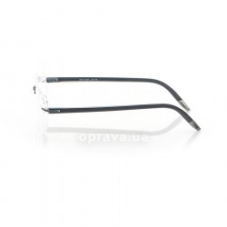 5379 7666 6058 glasses (frame) Silhouette 12
