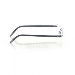 5379 7666 6058 glasses (frame) Silhouette 36