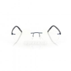 5379 7666 6058 glasses (frame) Silhouette 48