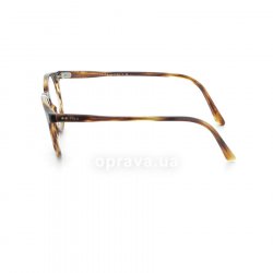 PH2083 5007  () Polo Ralph Lauren 12