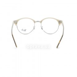 RB4246V 5239 glasses (frame) Ray-Ban 24