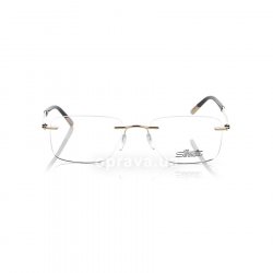 5325 5446 6052 glasses (frame) Silhouette 48