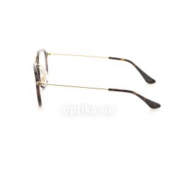 RB7098 2012 glasses (frame) Ray-Ban 12
