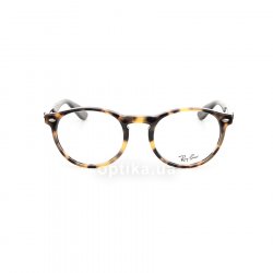 RB5283 5608  () Ray-Ban 48