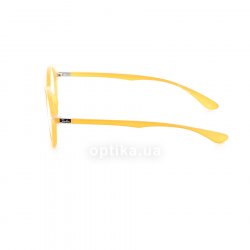 RB7069 5519  () Ray-Ban 12