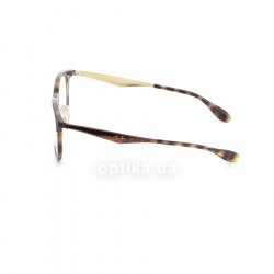 RB7112 5683 glasses (frame) Ray-Ban 12